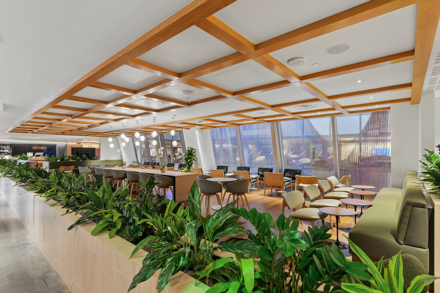 Qantas Lounge Refresh